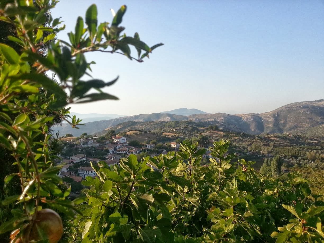 Kulturtour Thuringen Frau Reist Nach Troja