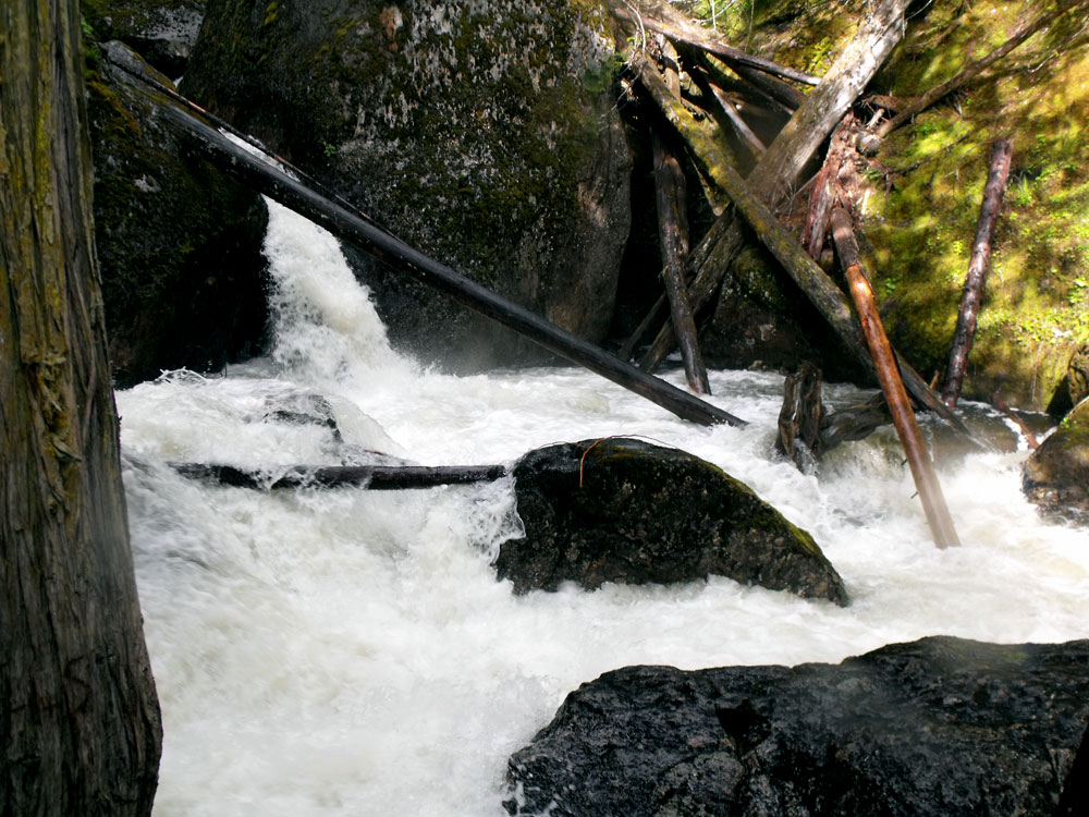 Okanagan Jen Waterfalls of the Okanagan Sicamous Creek Falls
