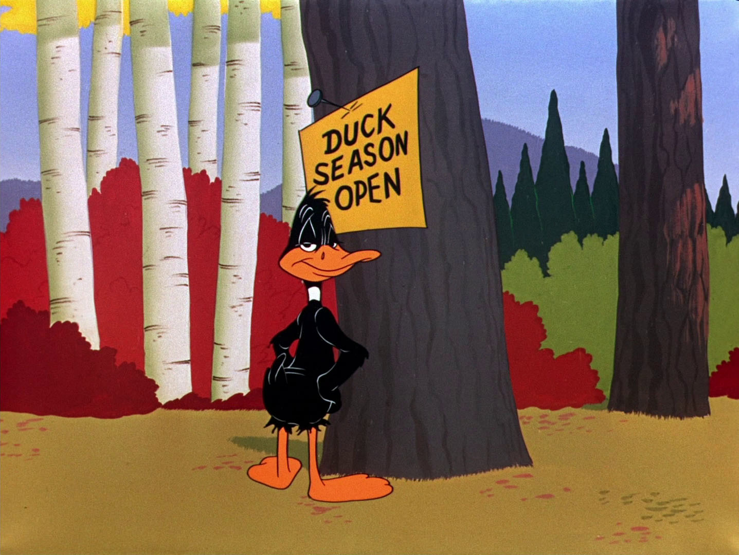 Looney Tunes Pictures: "Rabbit Fire"