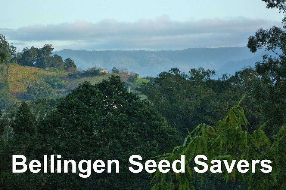 Bellingen Seed Savers Archived