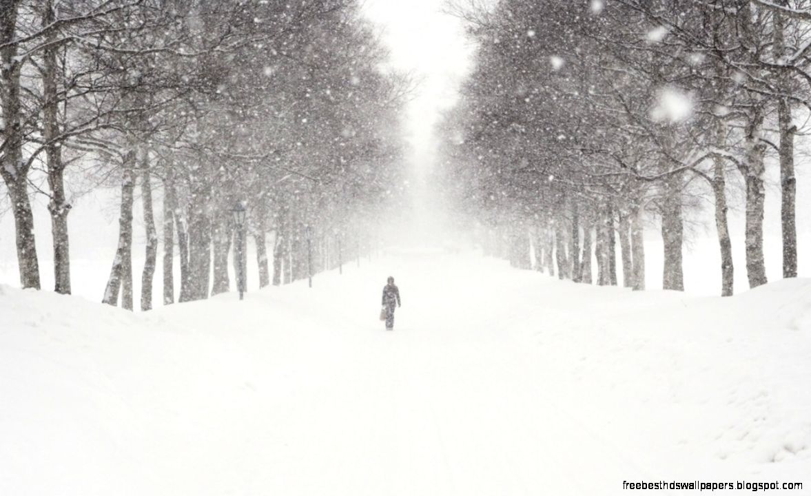 Blackberry Playbook Winter Background Winter Snow Blizzard Blackberry Playbook Winter Background Winter Snow Blizzard