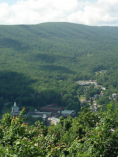 trees in the foreground.  Omni Homestead resort down in the valley.  Mountain in the background.  Photo taken from Deerlick Trail