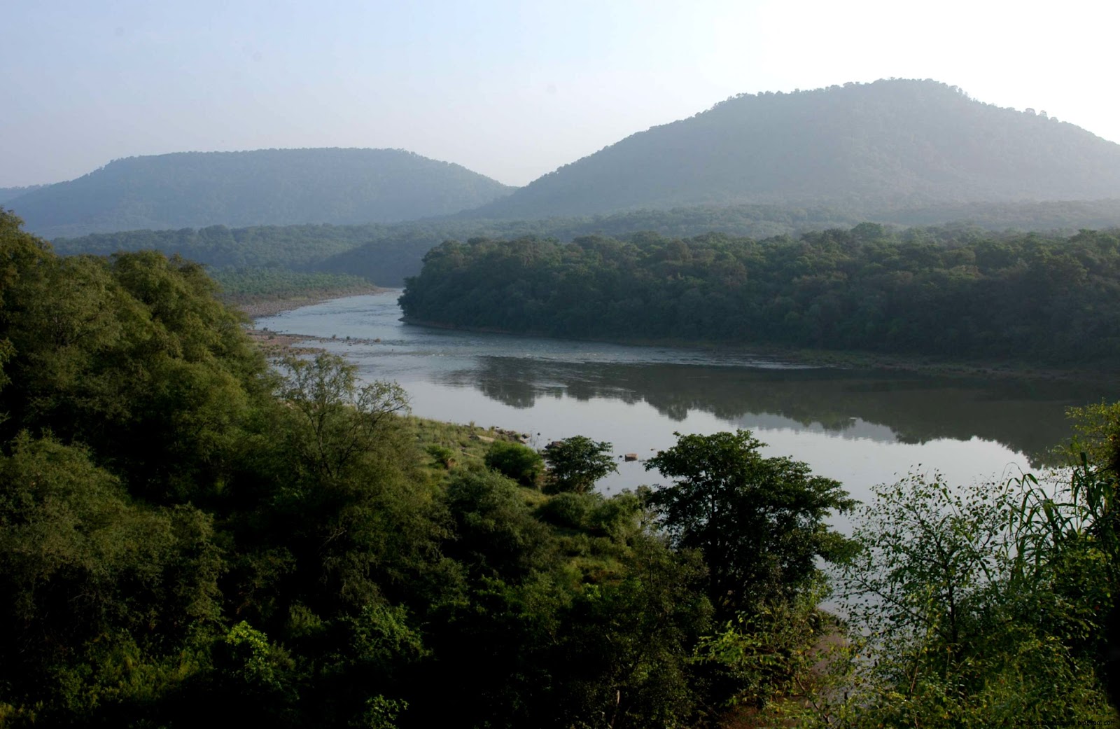 Gir Forest Gir Forest