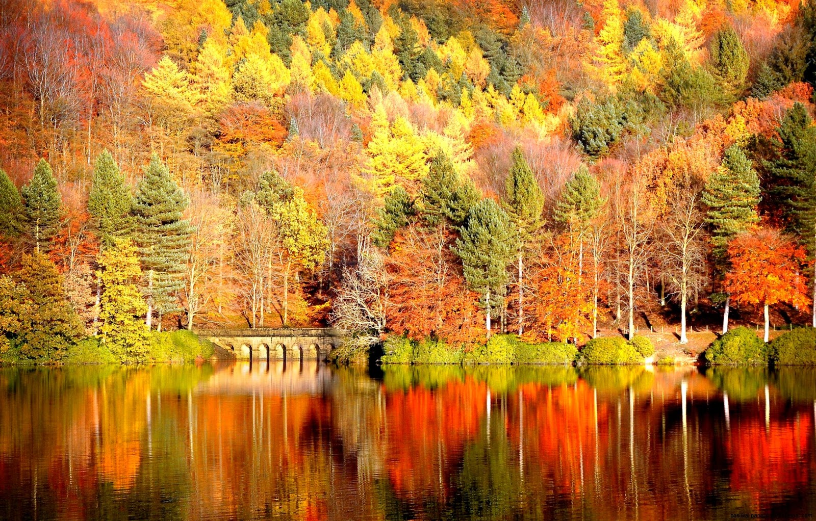 Bing Fall Autumn Desktop Bing Fall Autumn Desktop