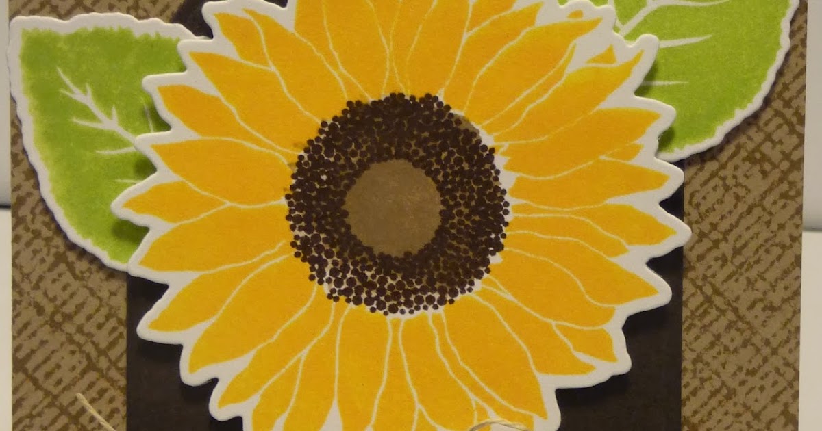 Teacher's Pet Splendid Sunflowers