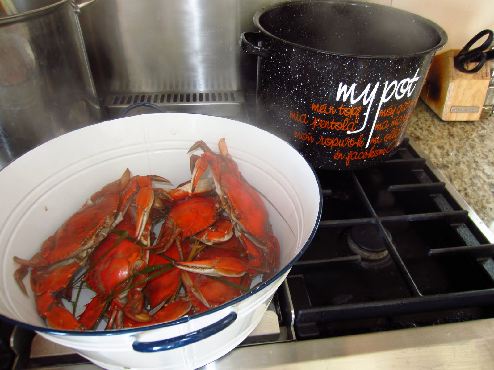 Gluten Free Blondie Recipe FreshCaught Crabs