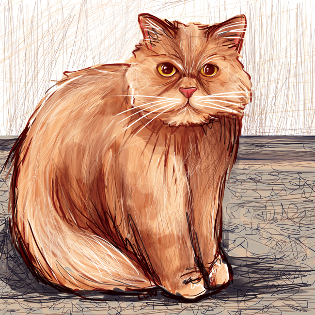 Libby Lamb Wagner: cat day 7 - persian cat