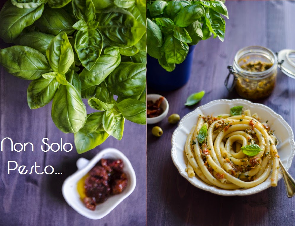 The Green Paprika & Paprika Non solo Pesto Ziti al pesto di olive