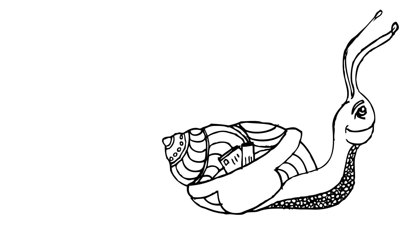 Sea Snail Drawing