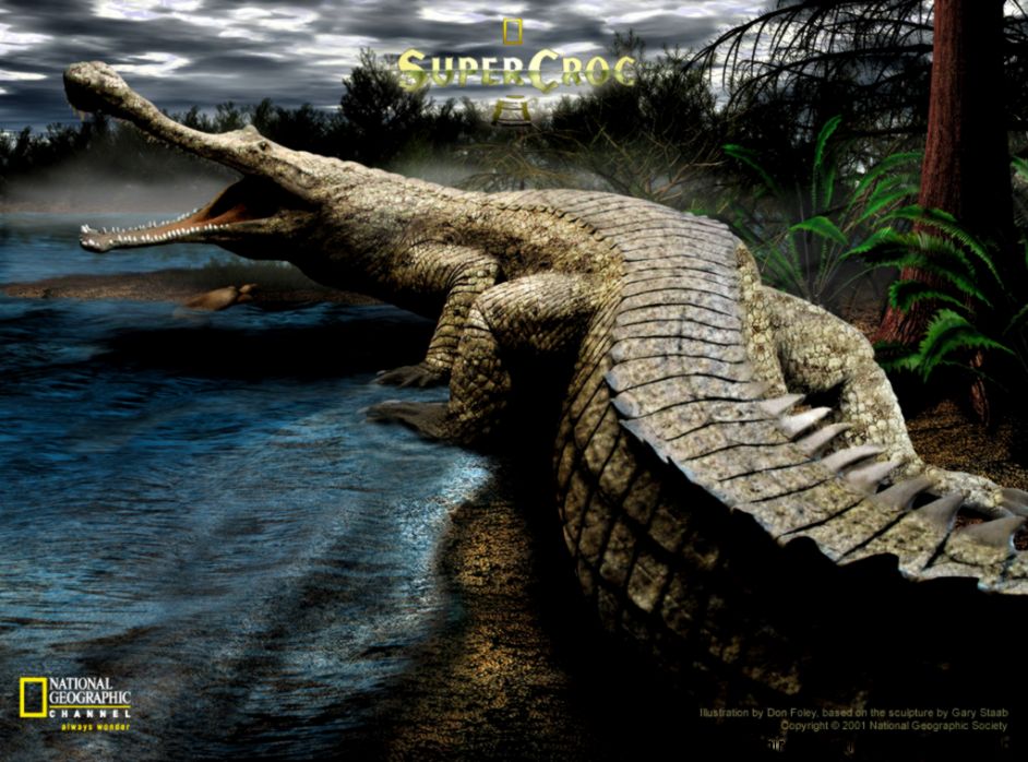 Super Crocodile Super Crocodile