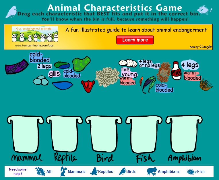 Miss Angie's Place: It's all about animals!