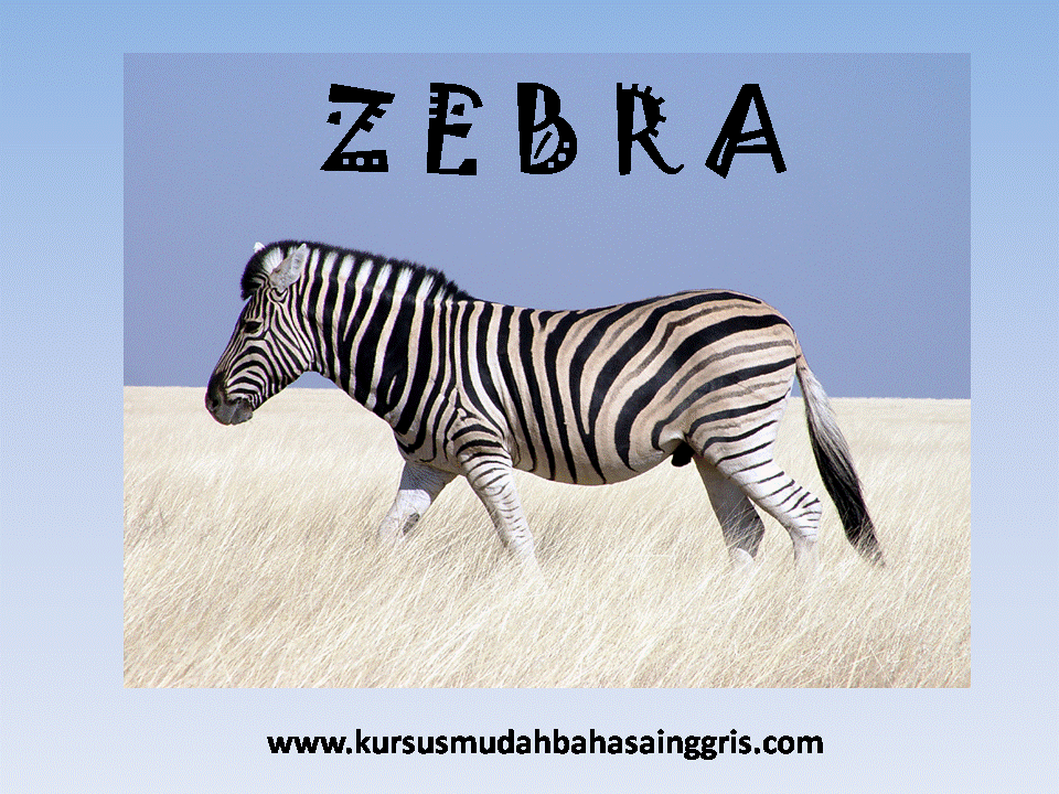 Penjelasan Dan Contoh Kalimat Tentang Describing Animals Belajar