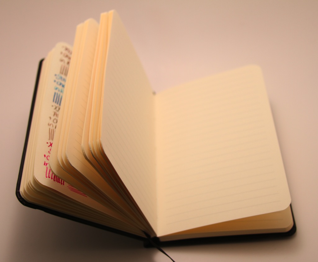 Gourmet Pens Review Rhodia notebook "bie" A6 Black