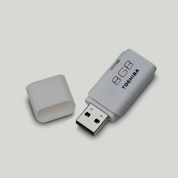 flashdisk picture of toshiba hayabusa 8gb