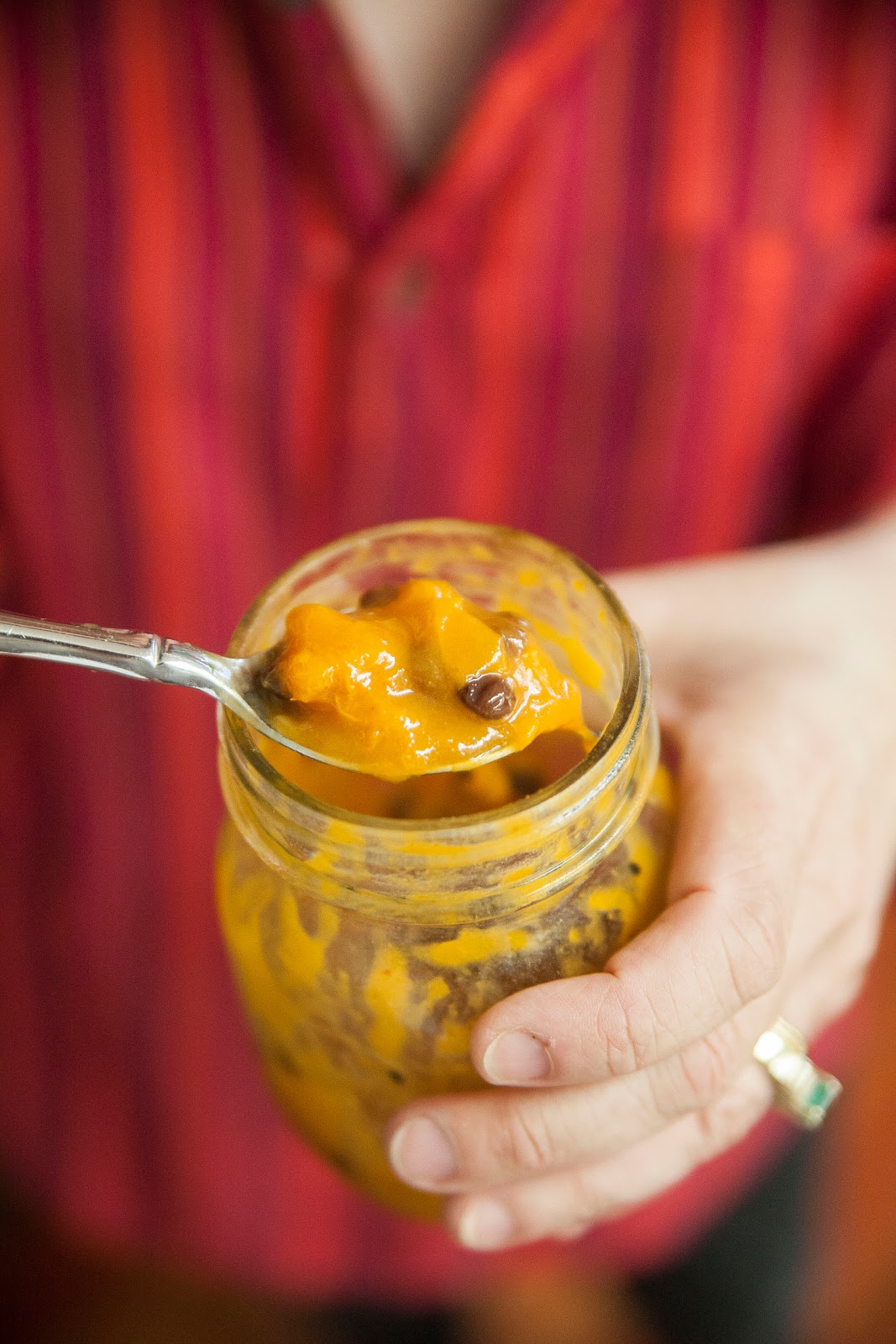 The Colors Of Indian Cooking Fresh or Dried, Making Apricot Chutney Is
