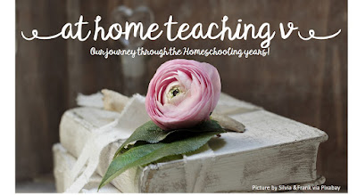 at home teaching V