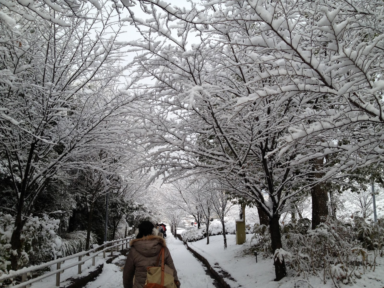 Koko Soko Asoko Fale Em Japones