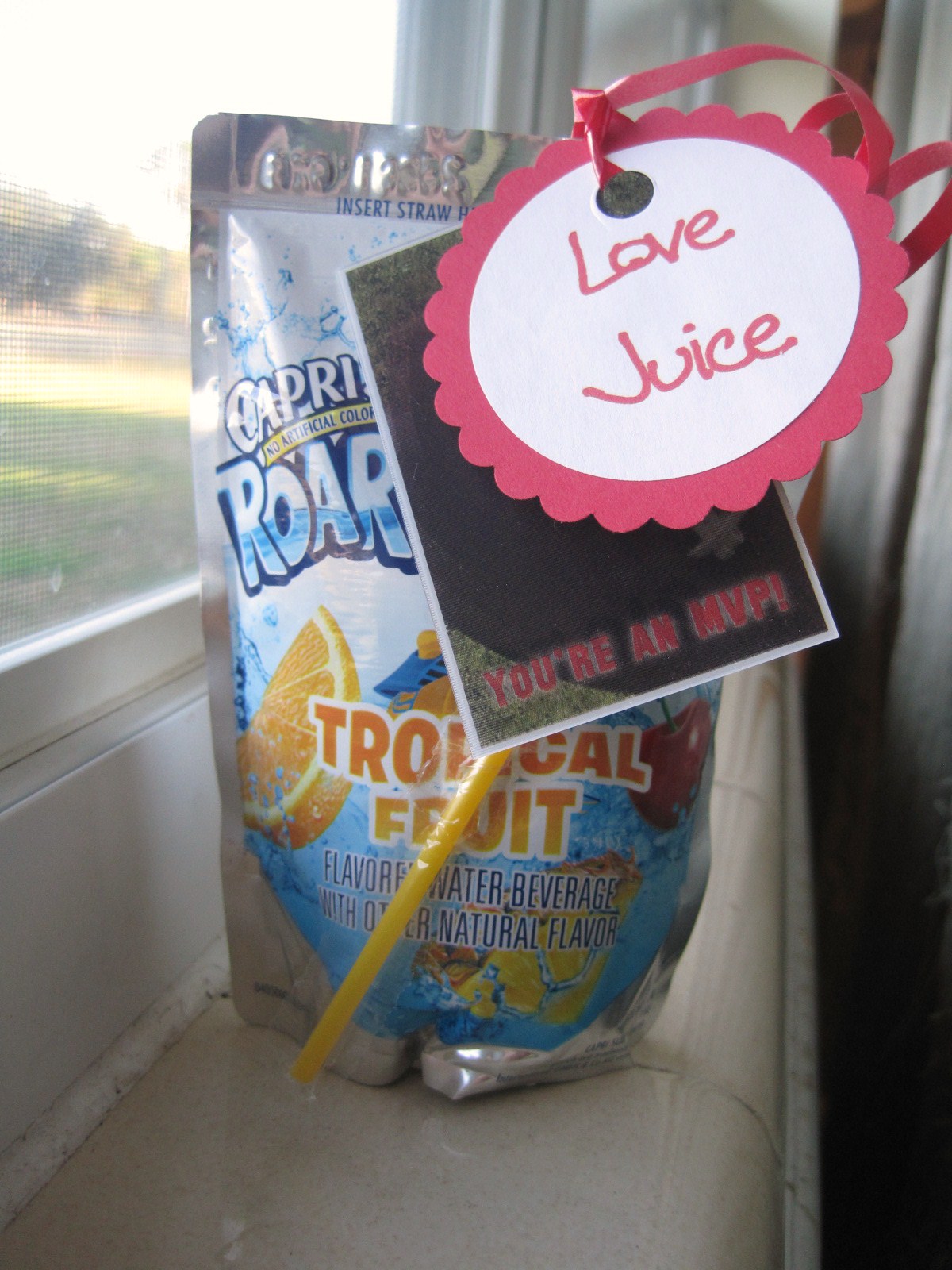 Ramblings from the Sunshine State Juice Pouch Valentine's