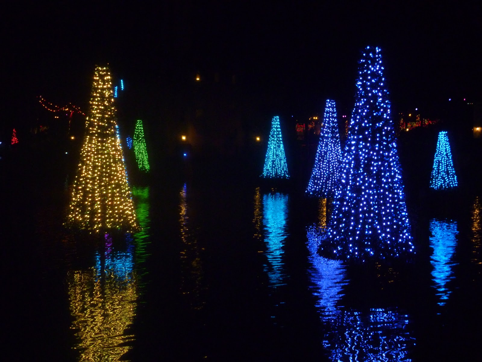 LIGHTS ON THE LAKE WORDLESS WEDNESDAY W/ LINKY Mama to 6 Blessings