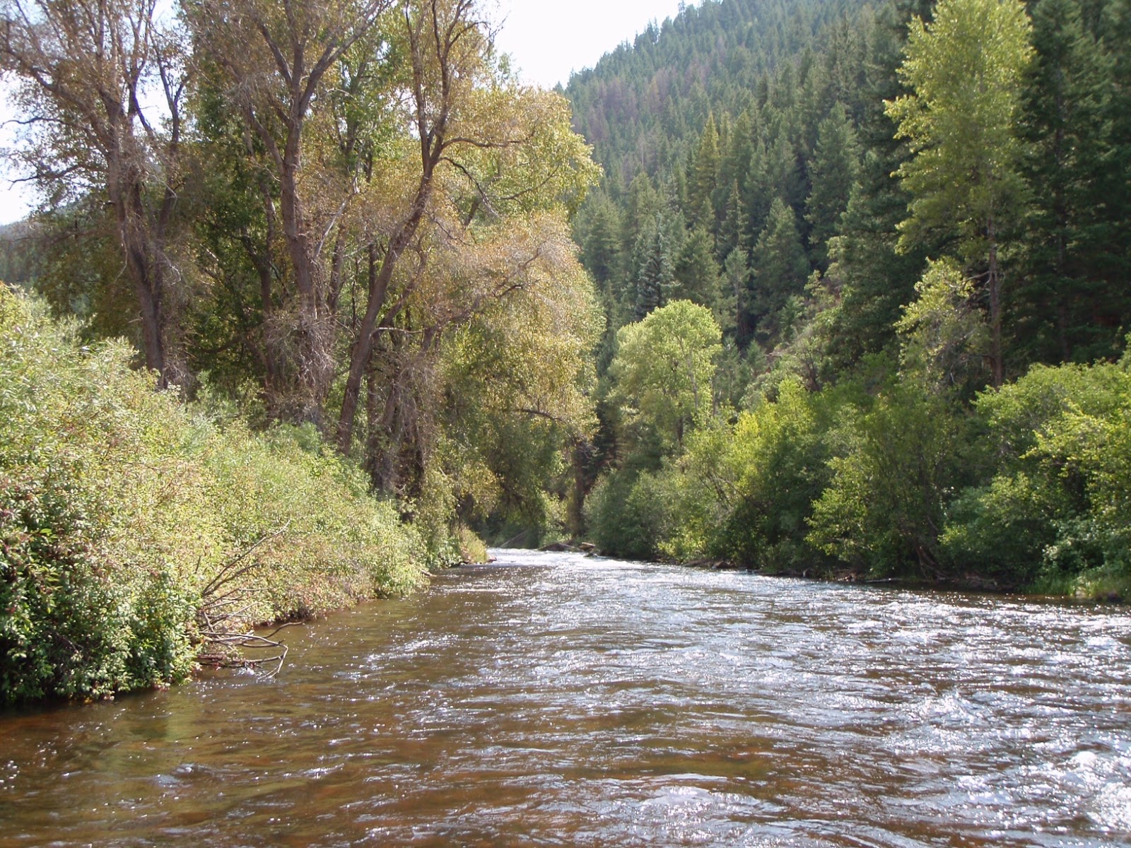 The Frying Pan River