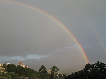 TARDE MANIZALEÑA