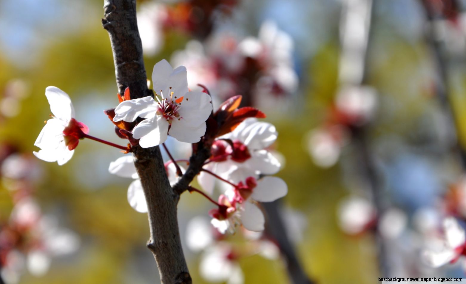 TheAeon HD desktop wallpaper  Fullscreen  Mobile  Dual Monitor TheAeon HD desktop wallpaper  Fullscreen  Mobile  Dual Monitor