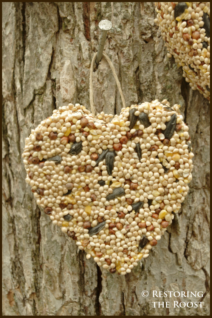 Restoring the Roost Valentine Bird Seed Hearts