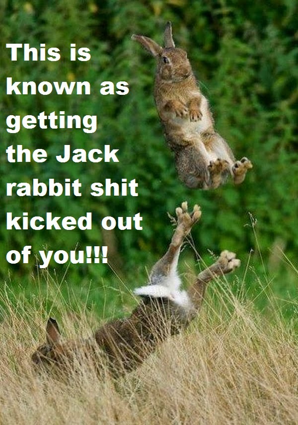 Oh My Freaking Stars! Jack Rabbit Kick