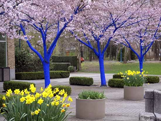 MUEBLES PARA PATIO & JARDIN EN COLOR AZUL - Patios y Jardines