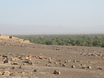 PALMERAL VALLE DEL DRAA