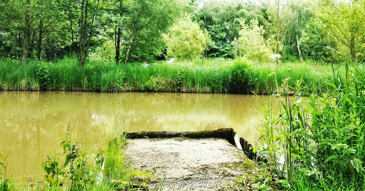 The oaks sessay reviews picture