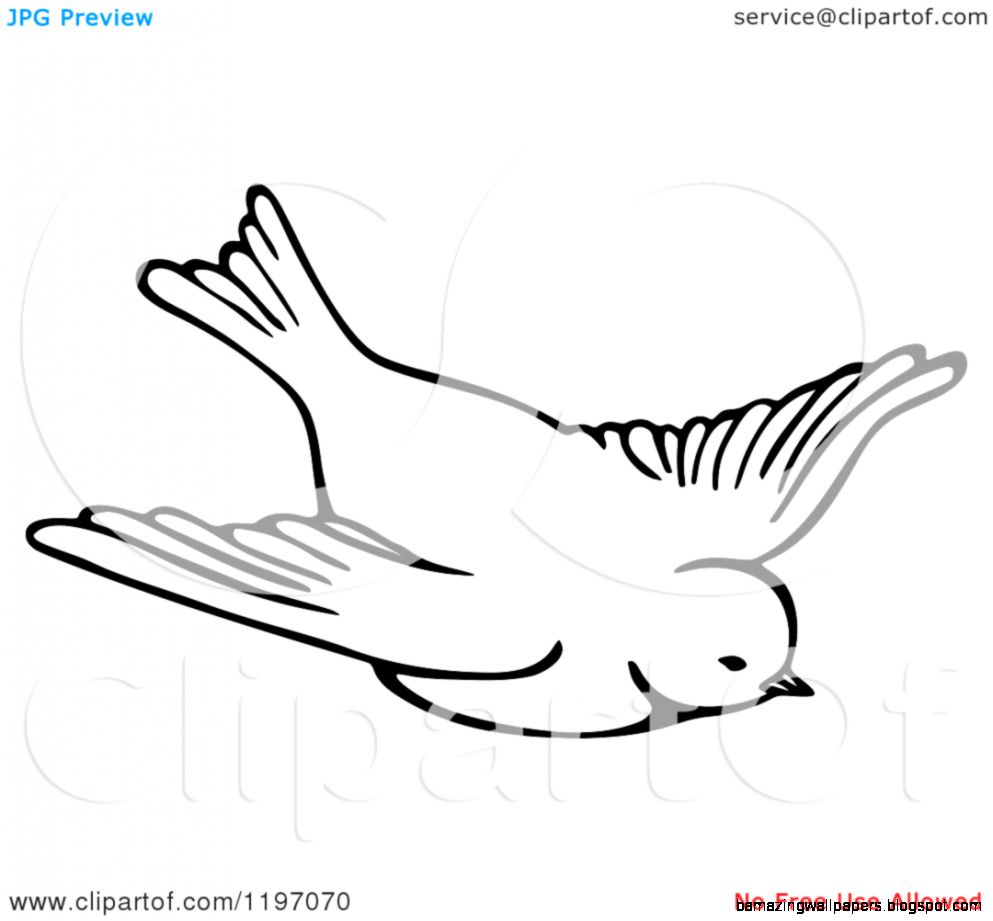 Bird Clipart Black And White  Clipart Panda   Free Clipart Images Bird Clipart Black And White  Clipart Panda   Free Clipart Images