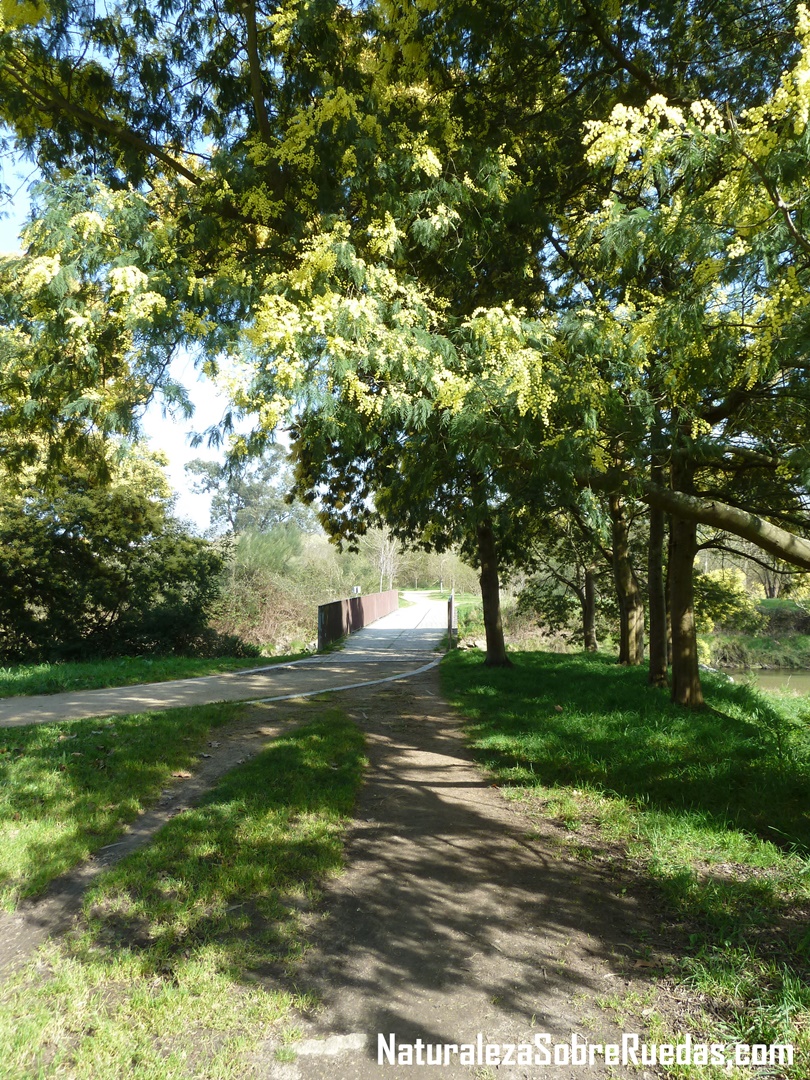 Parque Natural da Xunqueira de Alba Naturaleza Sobre Ruedas