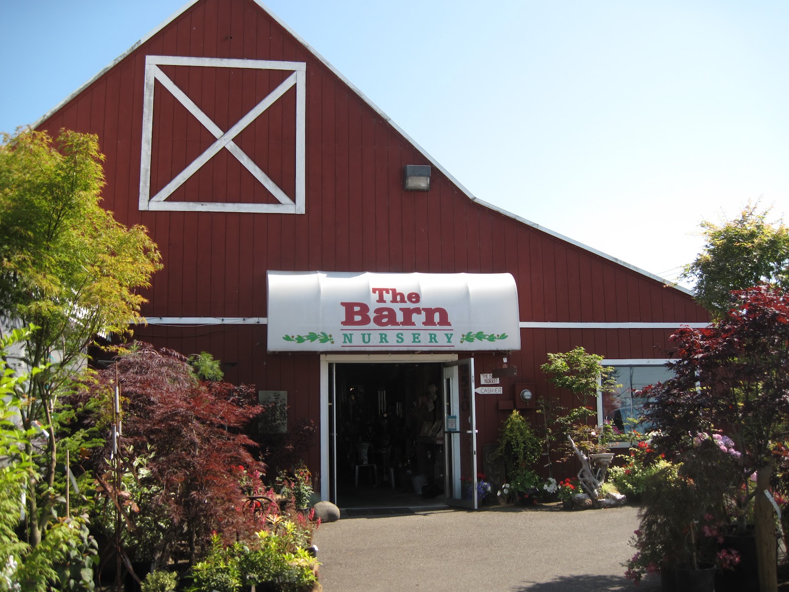 Bonney Lassie A Trip to The Barn Nursery in Olympia, WA