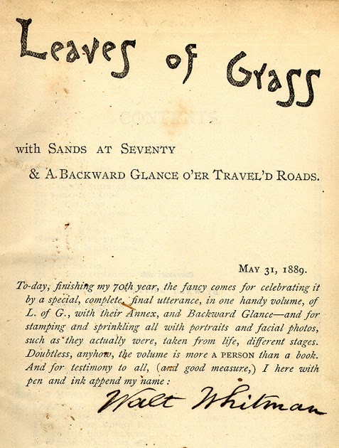 Miraculous essay picture