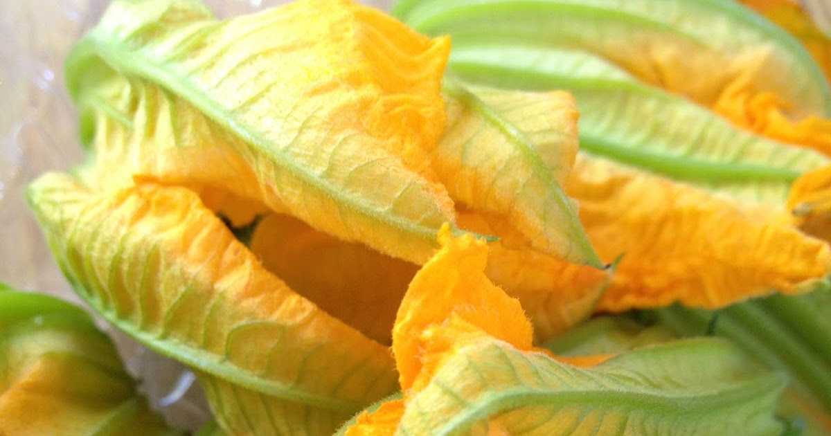 Tate's Kitchen fried Zucchini Blossoms