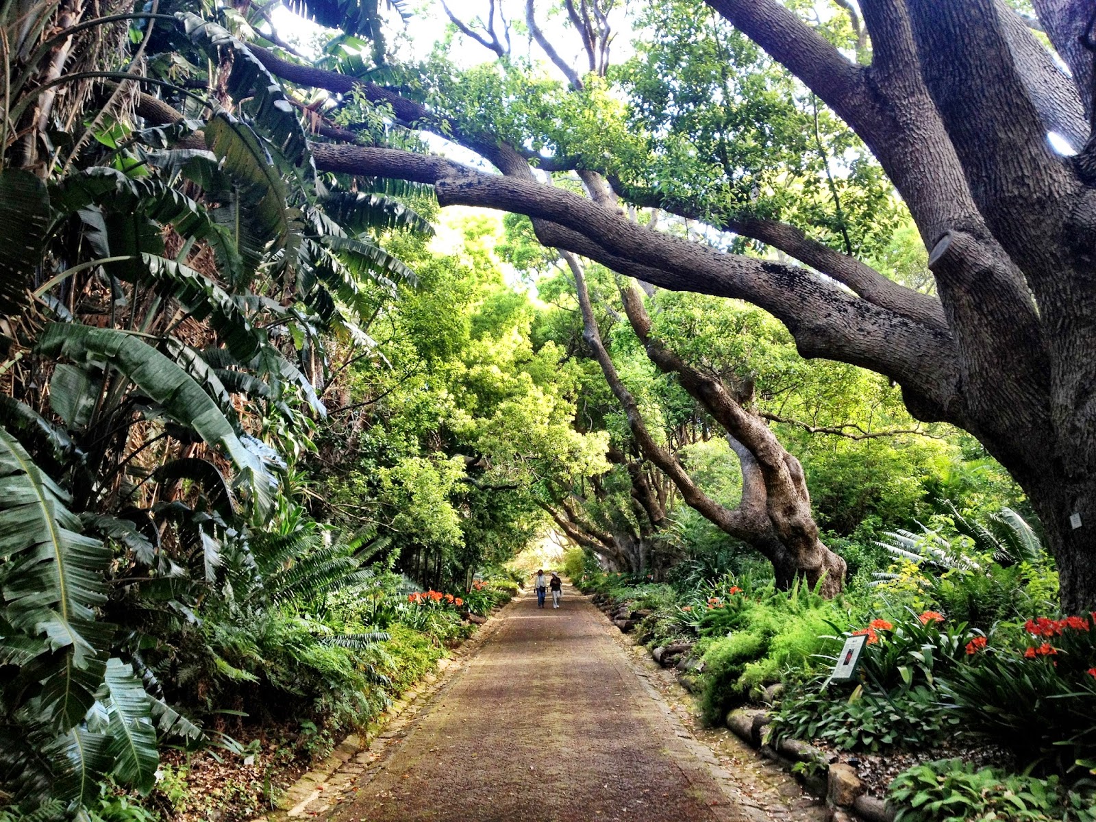 South Africa Cape Town Botanical Garden
