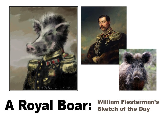 boar sketch