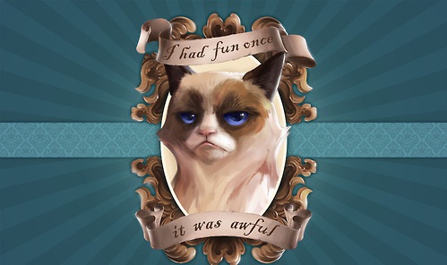 Grumpy Cat HD Wallpaper | Funny Collection World