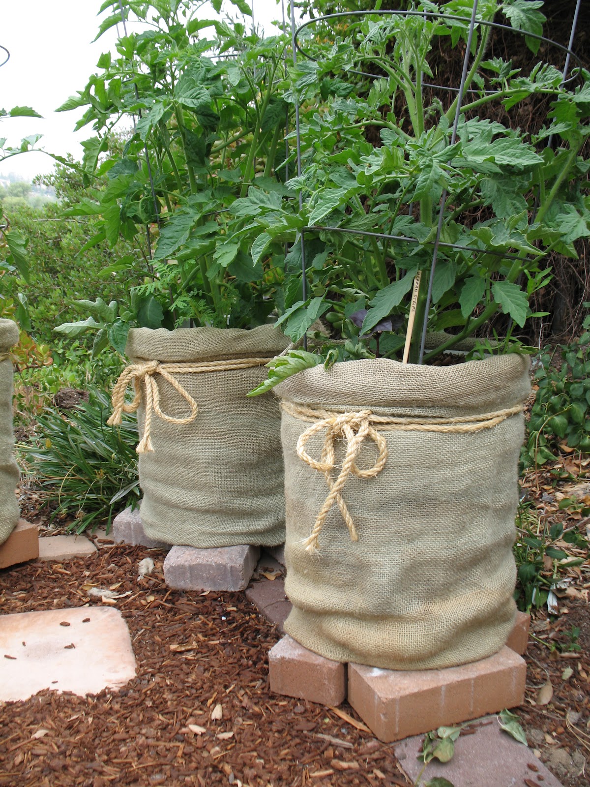 Burlap Садовые идеи, Садовый контейнер, Маленькие огороды