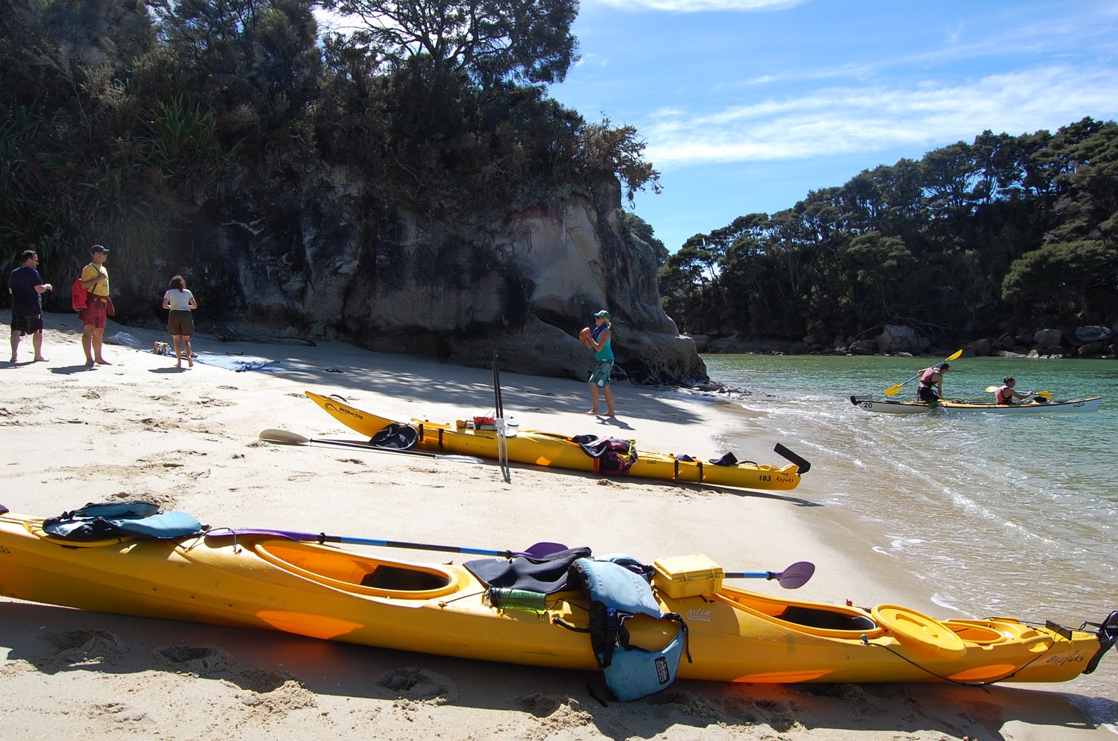 Grots in New Zealand Day 19 Abel Tasman Sea Kayaking