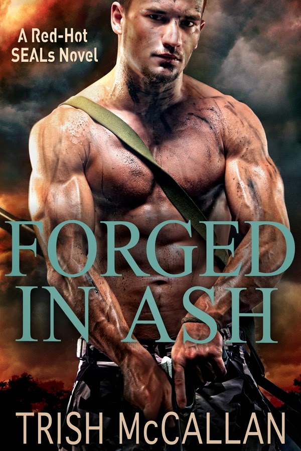 https://www.goodreads.com/book/show/15836088-forged-in-ash