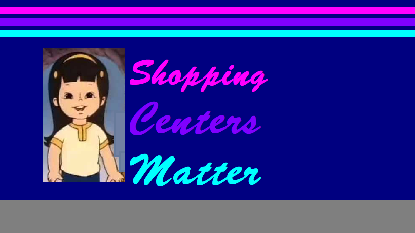 Shopping Centers Matter