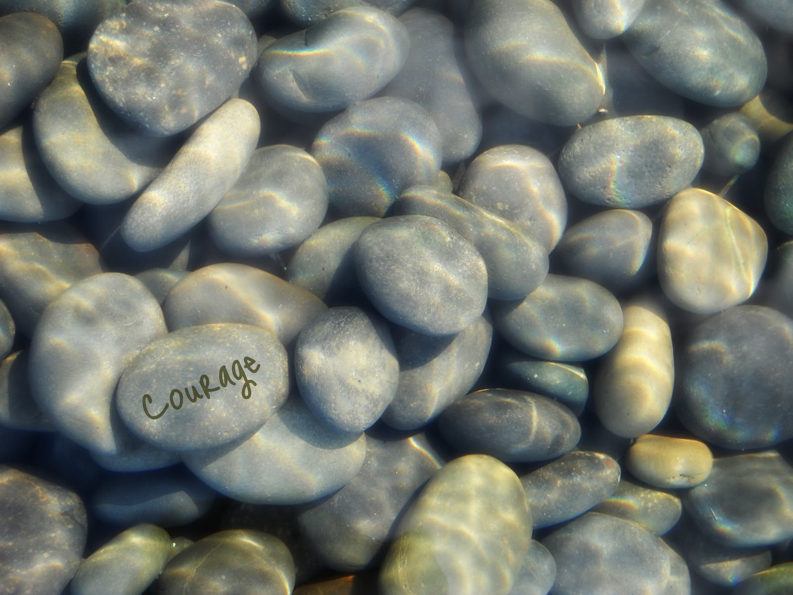 From Tracie December 2011