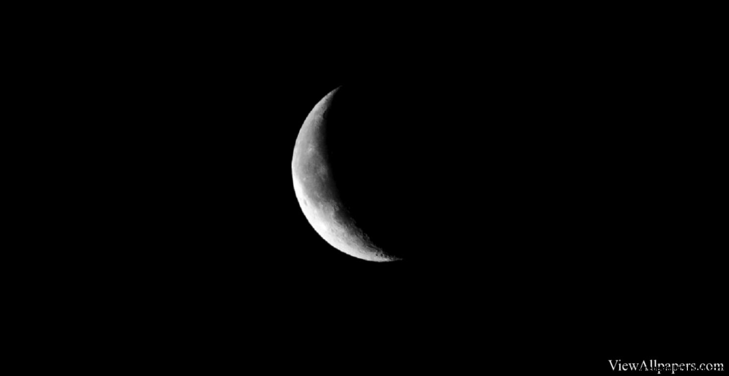 half black half white background