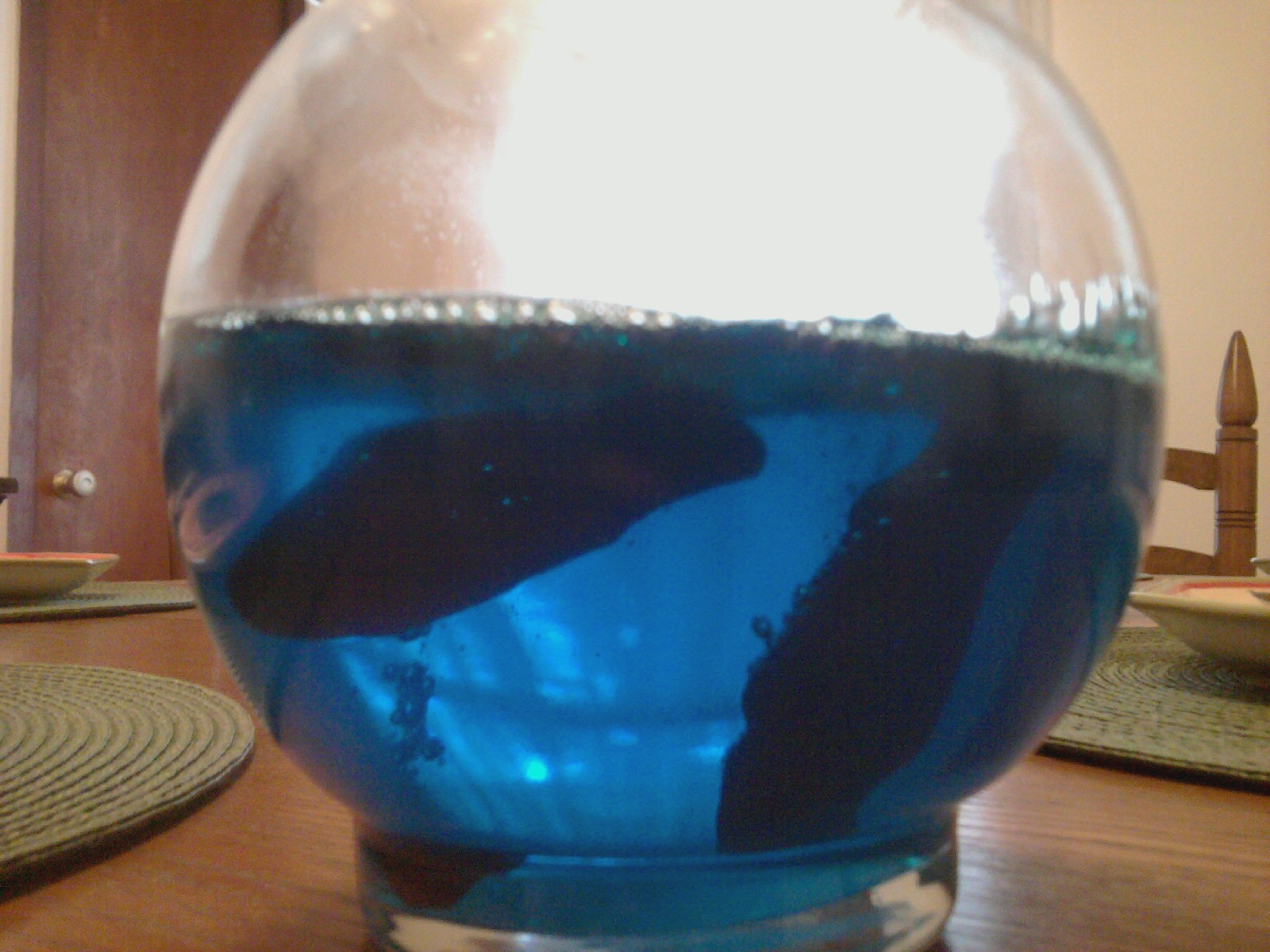 Edible Aquarium Recipe About A Mom