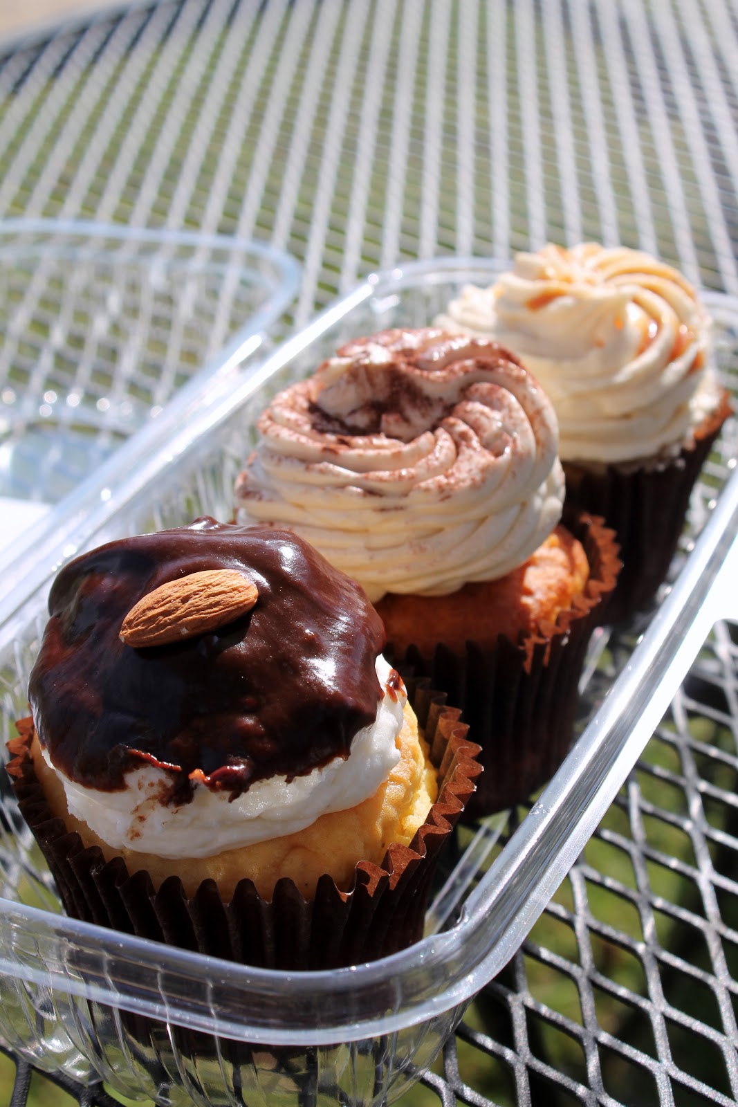 The Cupcake Avenger Twisted Sisters Cupcakes, Virginia Beach