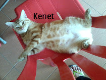 KENET ;)