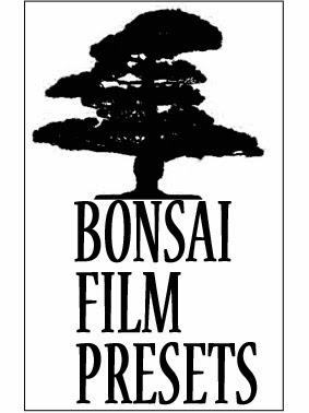Bonsai Film Presets