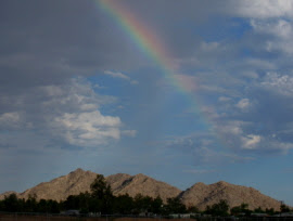 Palo Verde Mountains